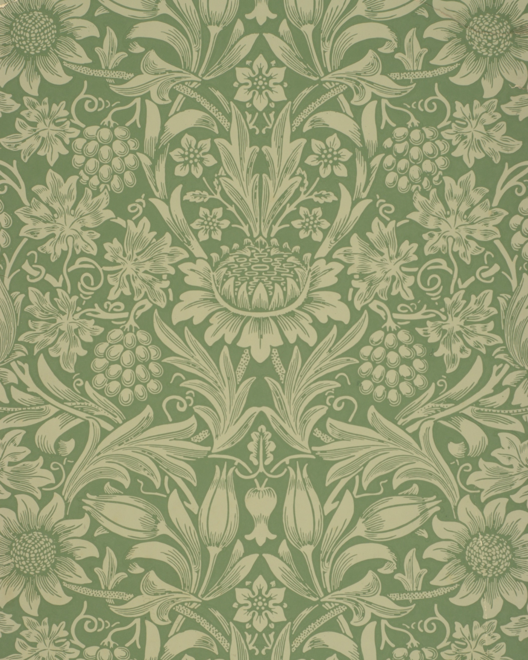 Sunflower Paper