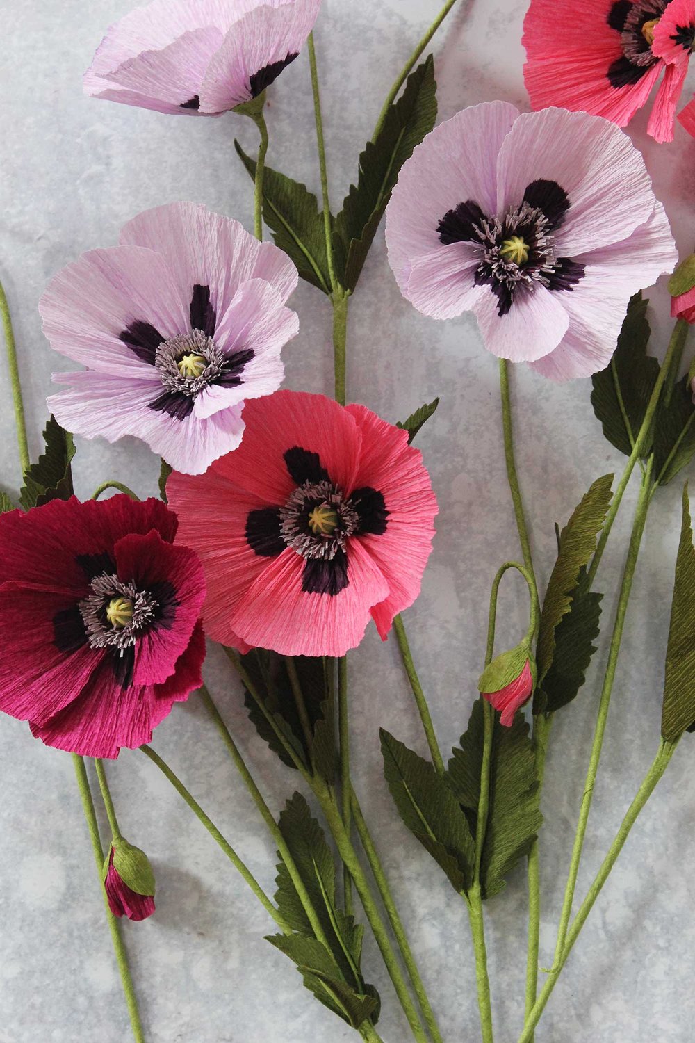 Paper Oriental Poppies A Petal Unfolds